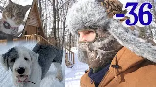 Surviving Farmlife in Extreme Winter Weather
