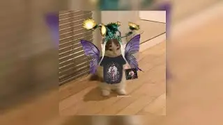 melanie martinez - nymphology (sped up)