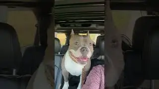 #shortsfeed #youtube