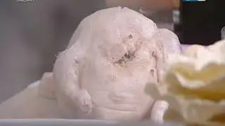 أكلة بيتى : طريقة عمل بطة محشية بالأرز _ كنافة _رقاق