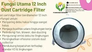 12 INCH DUST CARTRIDGE FILTER