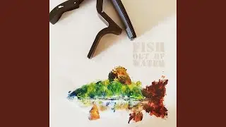 Fish out of water