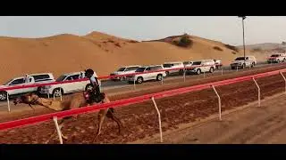 اللبسة 09-08-2025 ش13خليفة عبدالله الشريجي