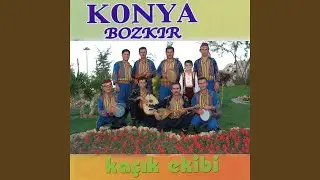 Kozan Dağı