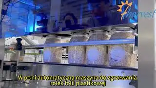 liniowa zgrzewarka do folii w rolkach, Zgrzewarka do butelek na gorąco, Fabryka w Chinach
