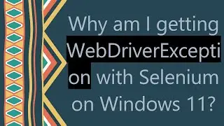 Why am I getting WebDriverException with Selenium on Windows 11?