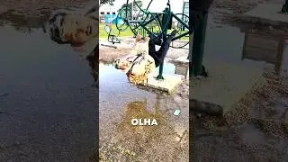 O ch&atilde;o &eacute; lava PARKOUR 🔥