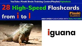 Pinoki-28 High-Speed Flashcards from i to l.