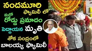 Gitam Chairman MVVS Murthy Passed Away In Road Mishap | MVVS Murthy Sudden Demise | News Bytes