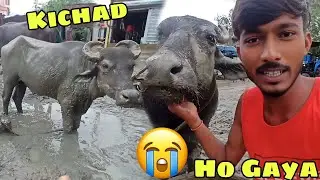 Pura Kichad Ho Gaya 🥺 | bhains ka jagah mein 😭