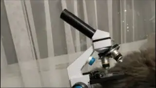 Глисты под микроскопом (helminths under a microscope. )