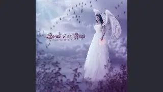 Broken Wings
