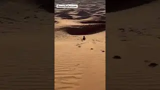 Kids Sandboarding in Red Sand Dunes Dubai