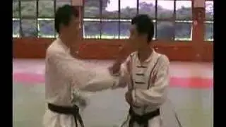Nam Wah Pai Martial Arts