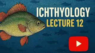 Ichthyology - Lecture 12 | Feeding Behavior of Fish | Adaptations, Diets & Strategies