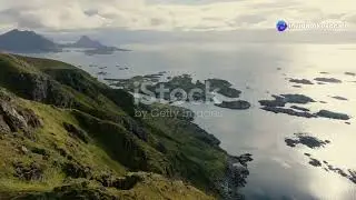 Norwegian Salmon: Journey of a Culinary Delicacy #animal2024 #wildlife