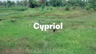 EUROFRAGANCE ICON field trips - Cypriol in India