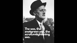 The Sea  - quote from Ulysses, James Joyce, 1920 #shorts #irish #quotes