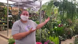 Visitando a Central Flores (Na Ceasa de Bras&iacute;lia)