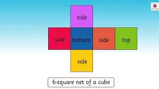 Cube Net | Mathematics Grade 4 | Periwinkle