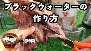 短時間で作れる！ベタのブラックウォーターの作り方｜水量・重量・時間も解説
