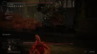 ELDEN RING divine beast dancing lion i tried to help lo