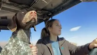 K9cation Hudson/Brighton Tour