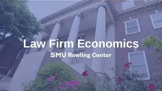 Law Firm Economics