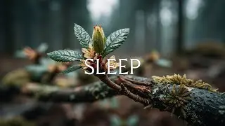 Peaceful Piano Nature Melodies ~ Расслабляющая акустическая музыка для снятия стресса и сна