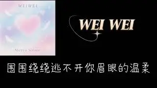 你绝对没听过的音乐：《WEI  WEI💗》歌词版！#music#音乐#Mireva Solune 