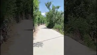 khowaza Khela Se Shalpin Chenkolai Shot kat rasta