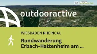 Wanderung in WIESBADEN RHEINGAU: Rundwanderung Erbach-Hattenheim am 10.03.2024 12:00:12