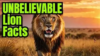 5 MIND-BLOWING Lion Facts You Never Knew