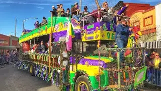 Traditional Cajun Country Mardi Gras Experience -- Eunice and Mamou, Louisiana