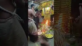 சுவாமி சரணம் ✨ ஐயப்பா 🙏✨