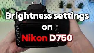 Setting Brightness Levels on Nikon D750: A Step-by-Step Tutorial