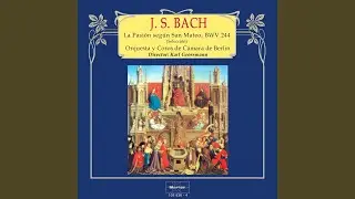 La Pasión según San Mateo, BWV 244: No. 39, Erbarme dich, mein Gott
