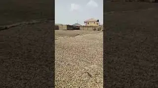 Benin cashew stock