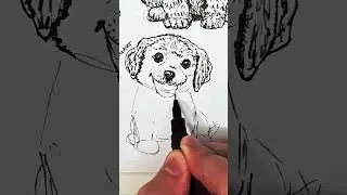 Day 8/30 &mdash; tiny happy puppy 🐶✍️Which dog breed should I draw next? #shorts #drawing #dogart #sketch