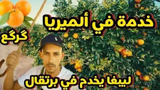  أجيو شوفو خدمة في ألميريا معا گرگع. Soufian Barcelona وحنا مكنسعاوش abdou tanjawi 