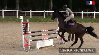 Veneur Heutiere