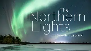 Northern Lights in Kalix, Swedish Lapland - 4K