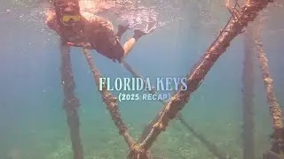 Highlights from my Florida Keys Fishing and Lobstering Trip! (2025)