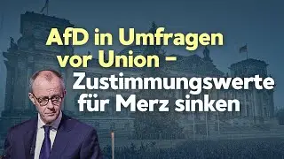Merz und die Union: AfD im Aufwind in den Umfragen