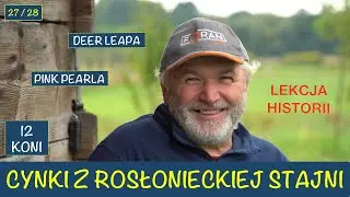 Cynki ze stajni 27 i 28 dzień wyścigowy Adam Wyrzyk Stajnia Rosłońce