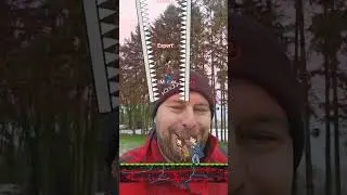 HELP The Stranger Things Character to SURVIVE Filter Challenge  #maroi #funny   #memes