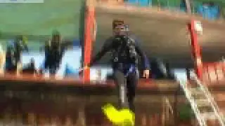 Freestyle Divers