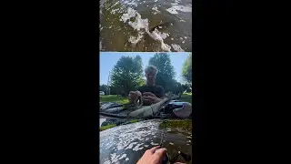 Glide Bait fishing moving water (new rod and reel)