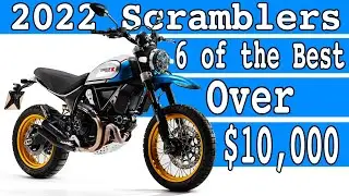 6 of the  Best Scramblers (2022)