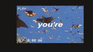 sunny fairy - intro /credits in description/